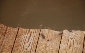 parquet ragréé par un sol lissant