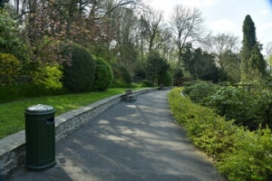 Allée bitumée