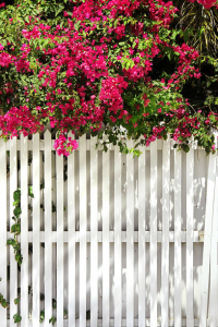 Palissade de jardin blanche