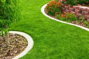 Toutes les informations sur la bordure de jardin